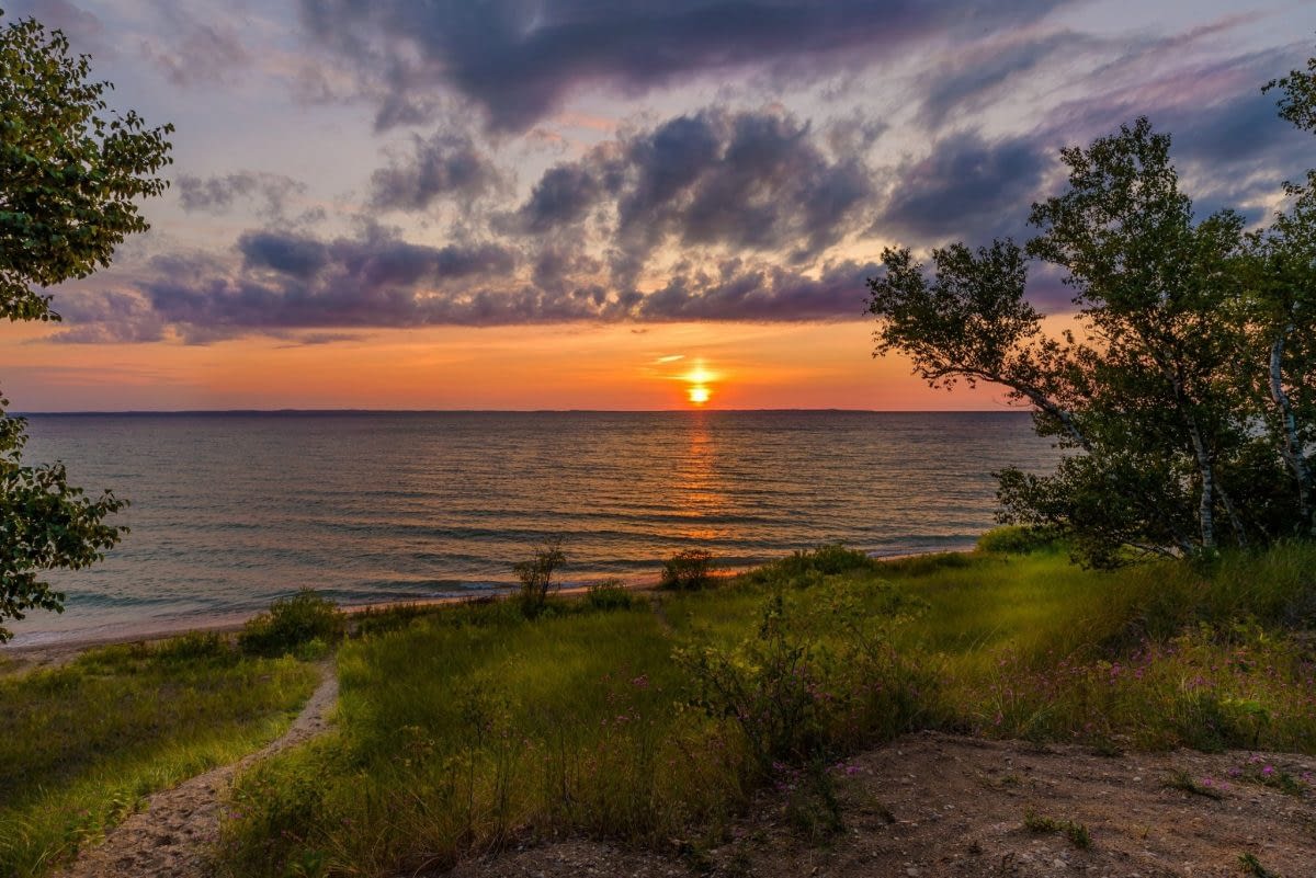 Campers' Guide to Barnes Park Campground